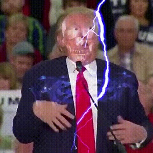 Donald Trump coup de foudre