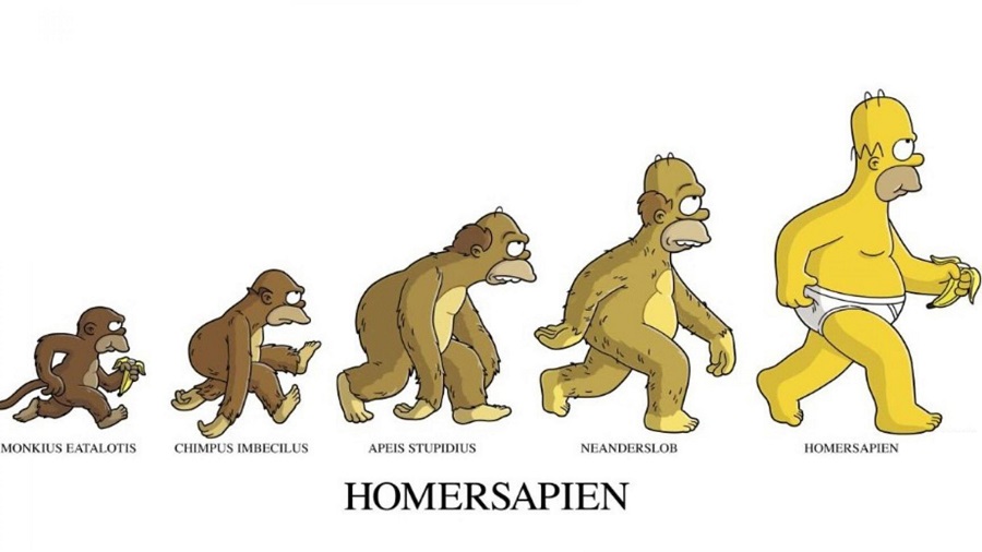 Evolution version Simpson