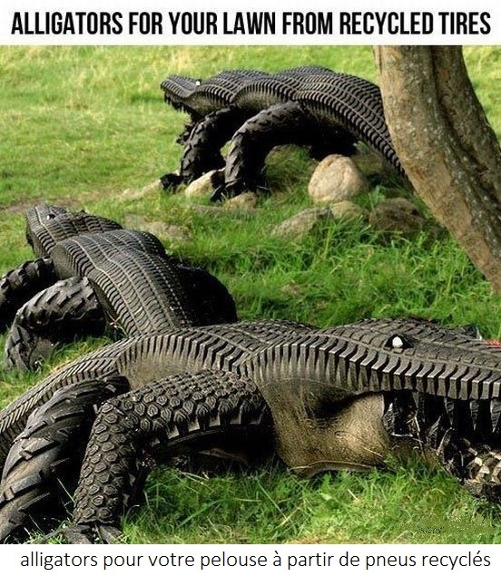 Aligator pneu