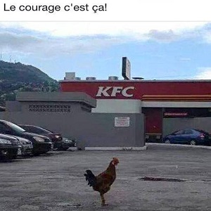 poulet vs KFC