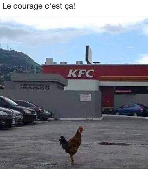 poulet vs KFC